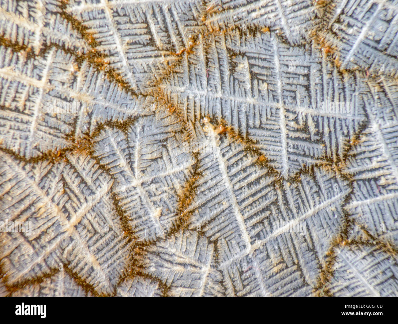 Crystal salt pattern Stock Photo