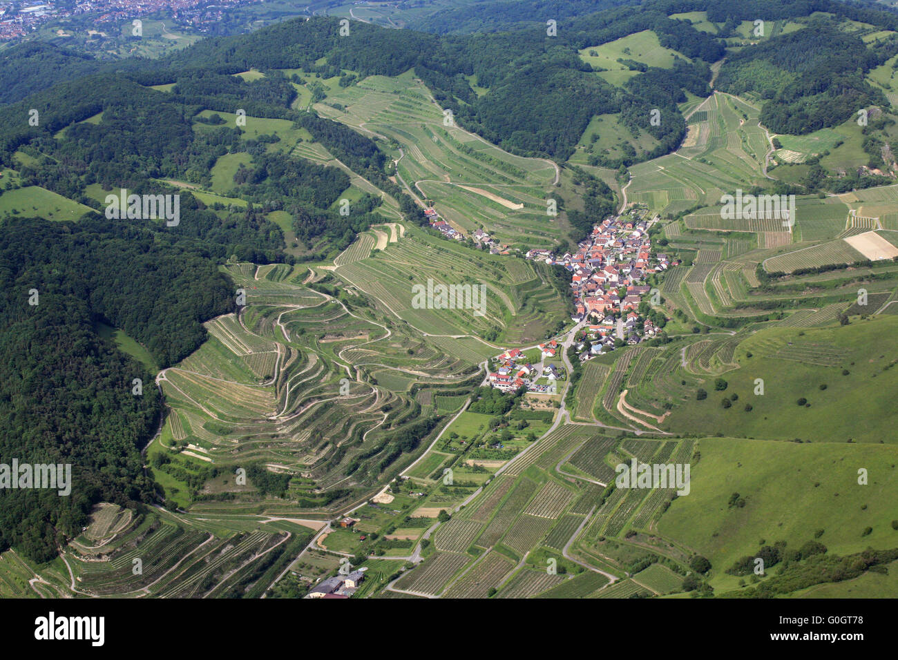 Vineyards arround Schelingen in the Kaiserstuhl mountains Stock Photo