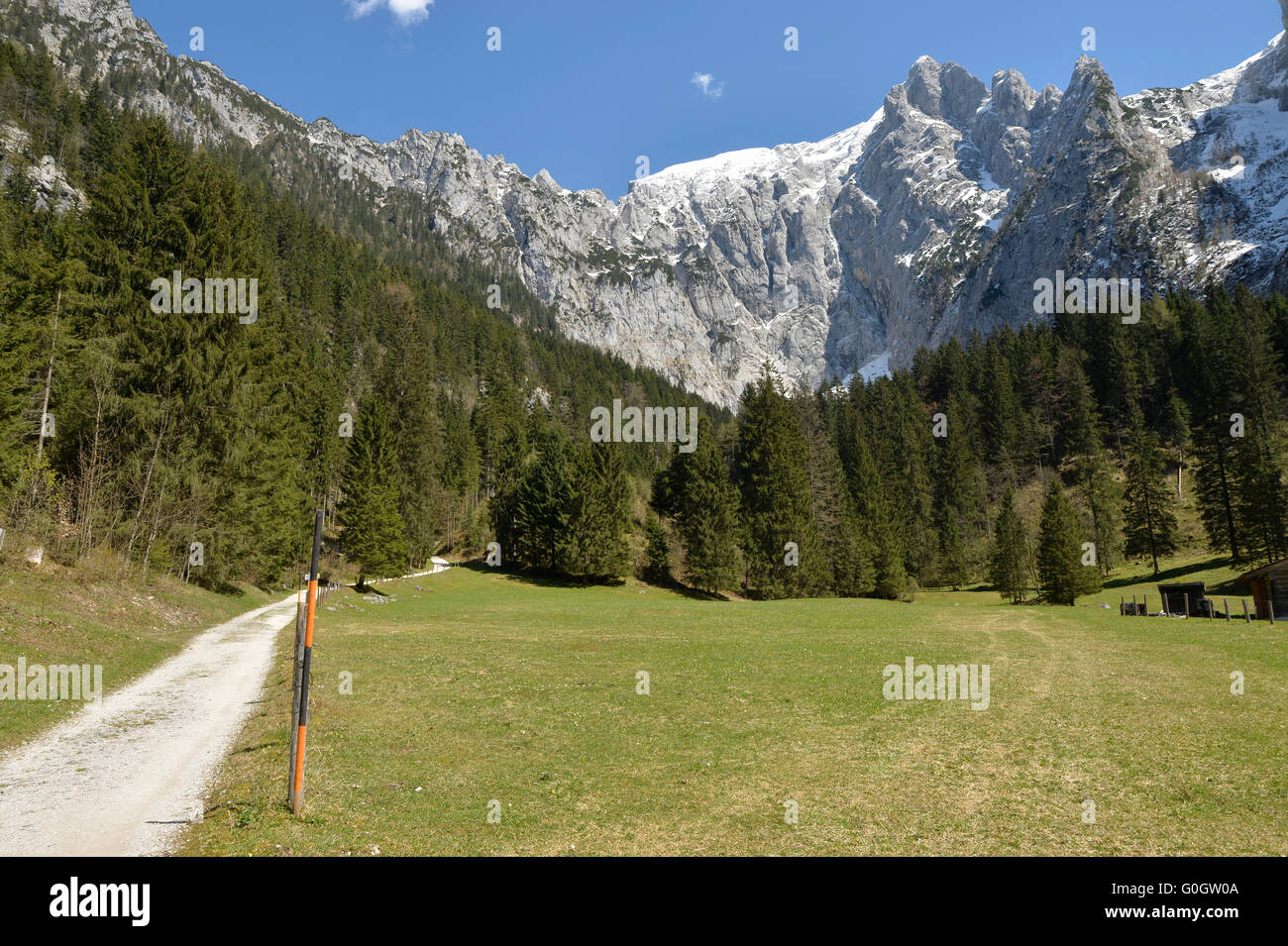 Scharitzkehlalm and Hoher Göll mountain 2,522 m (8,274 ft), Endstal,Berchtesgaden Alps, Germany Stock Photo