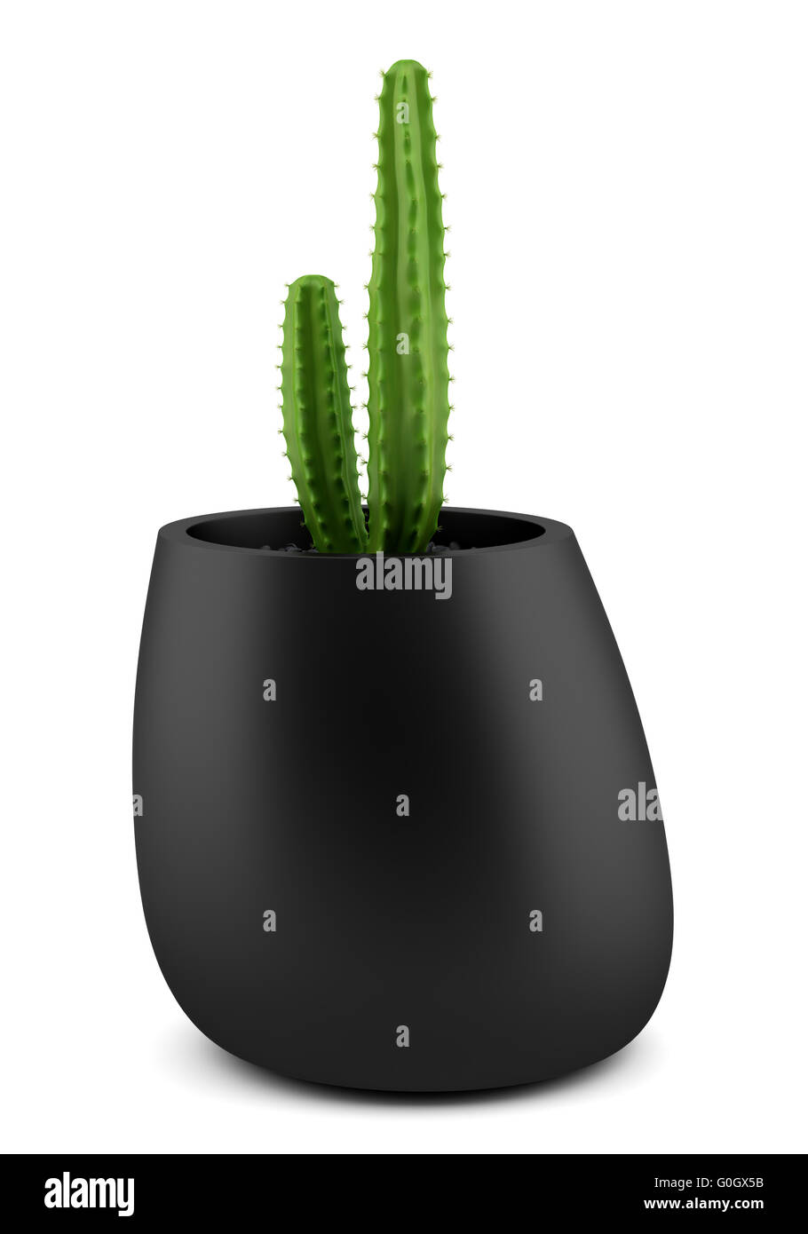 cactus in pot isolated on white background Stock Photo - Alamy