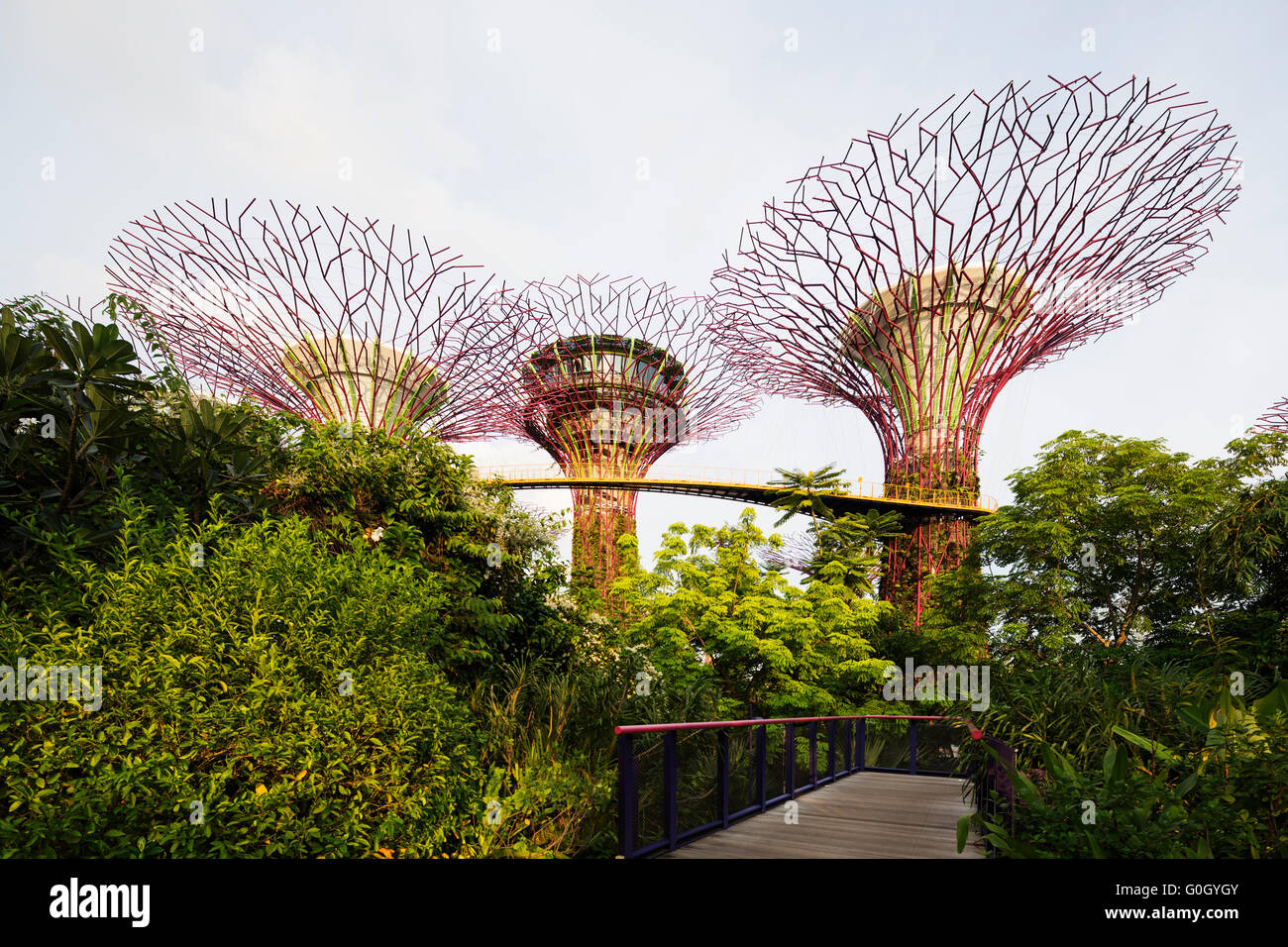 South East Asia, Singapore, Gardens by the Bay, Supertree Grove Stock Photo