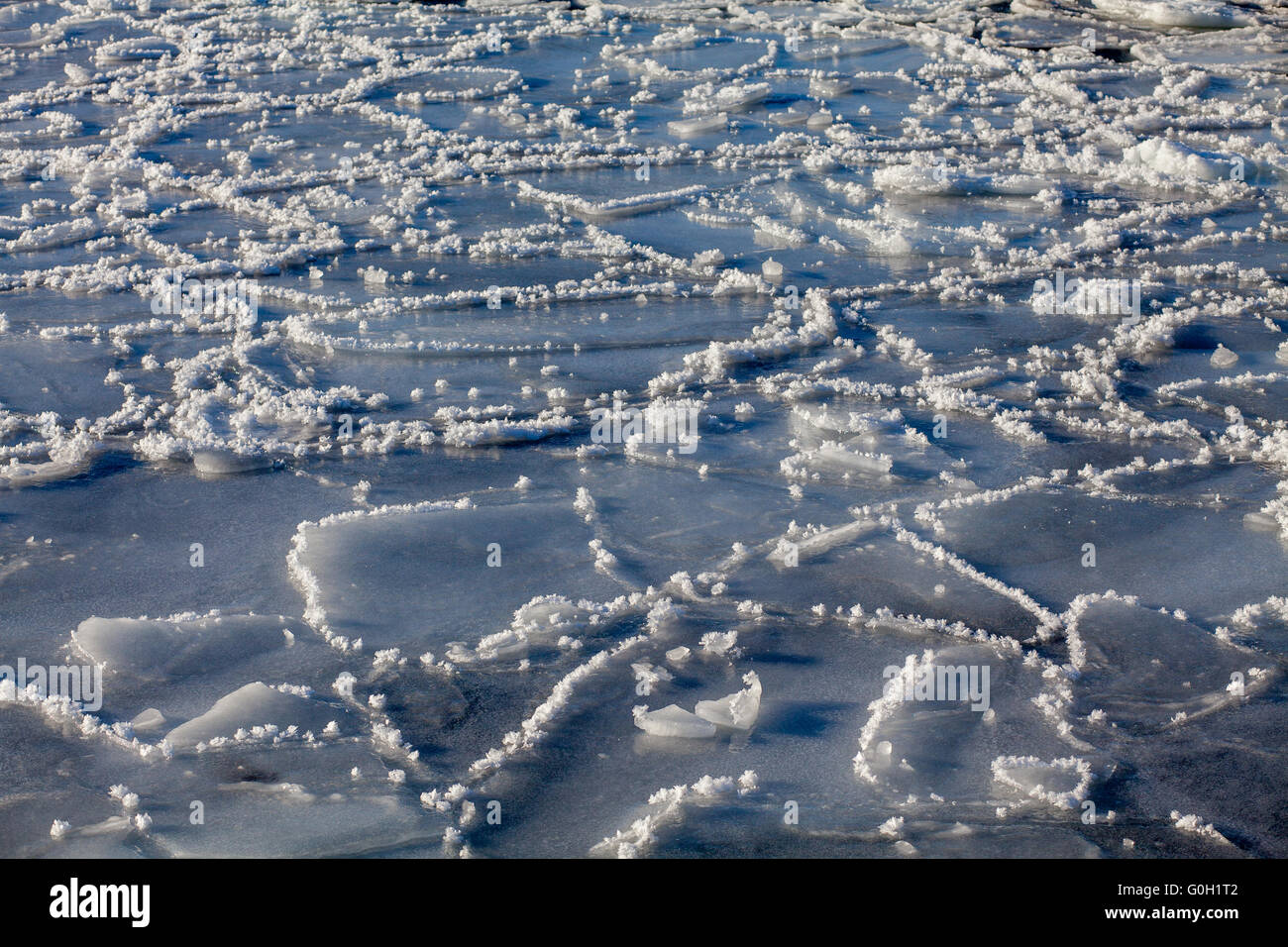 ice floes in the water Stock Photo