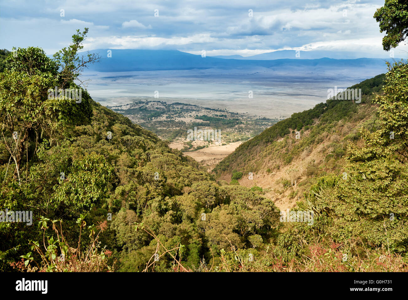 view from the rim into the Ngorongoro crater, Ngorongoro Conservation Area, UNESCO world heritage site, Tanzania, Africa Stock Photo