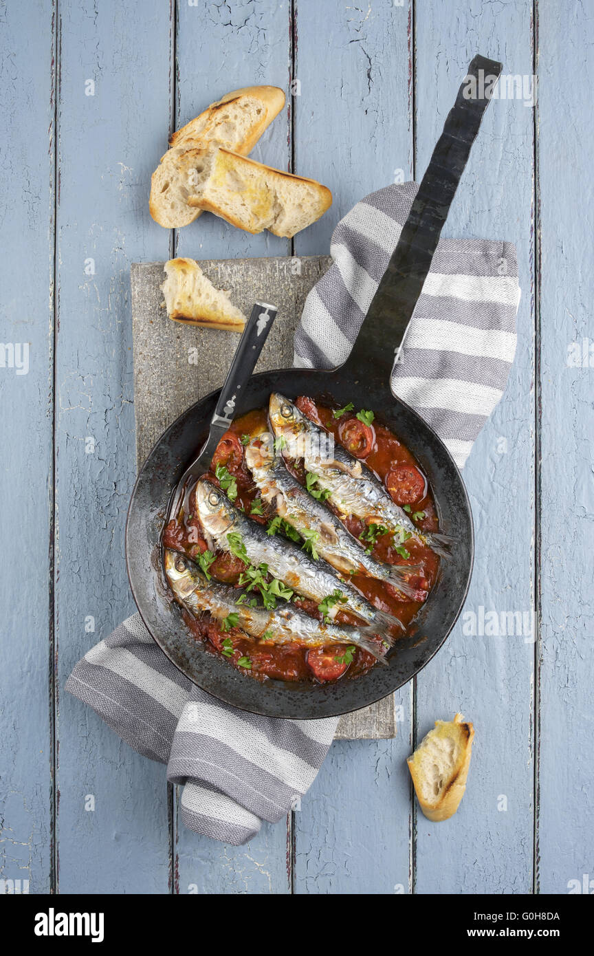 Sardine en Salsa Stock Photo Alamy