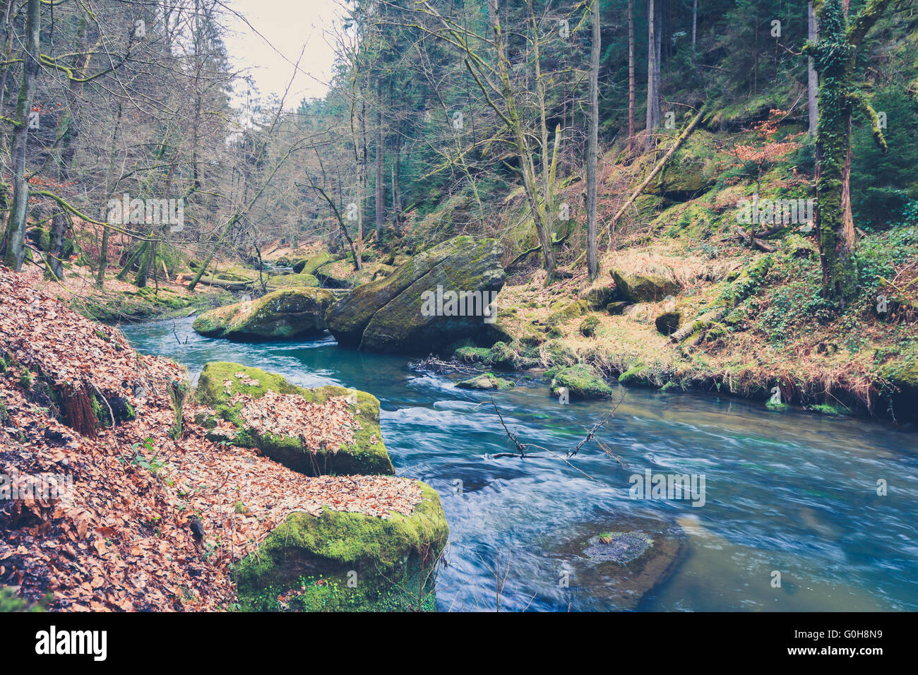 river in forest landscape during autumn, vintage filtered Stock Photo ...