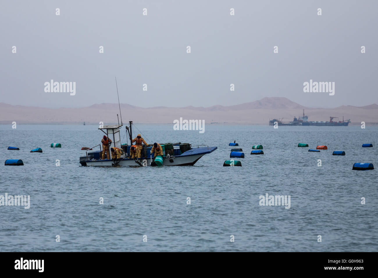 Oyster fishing at Walvis bay, Namibia. Stock Photo