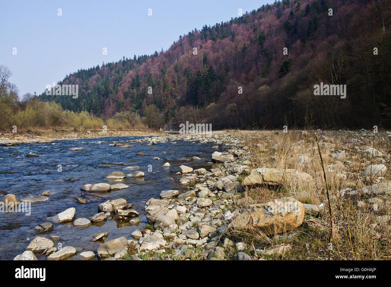 spring mountain river Prut in the Ukrainian Carpathians Stock Photo