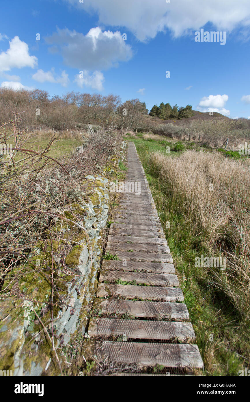 Boardwalk near Rhoscolyn, on the Four Mile Bridge to Silver Bay section