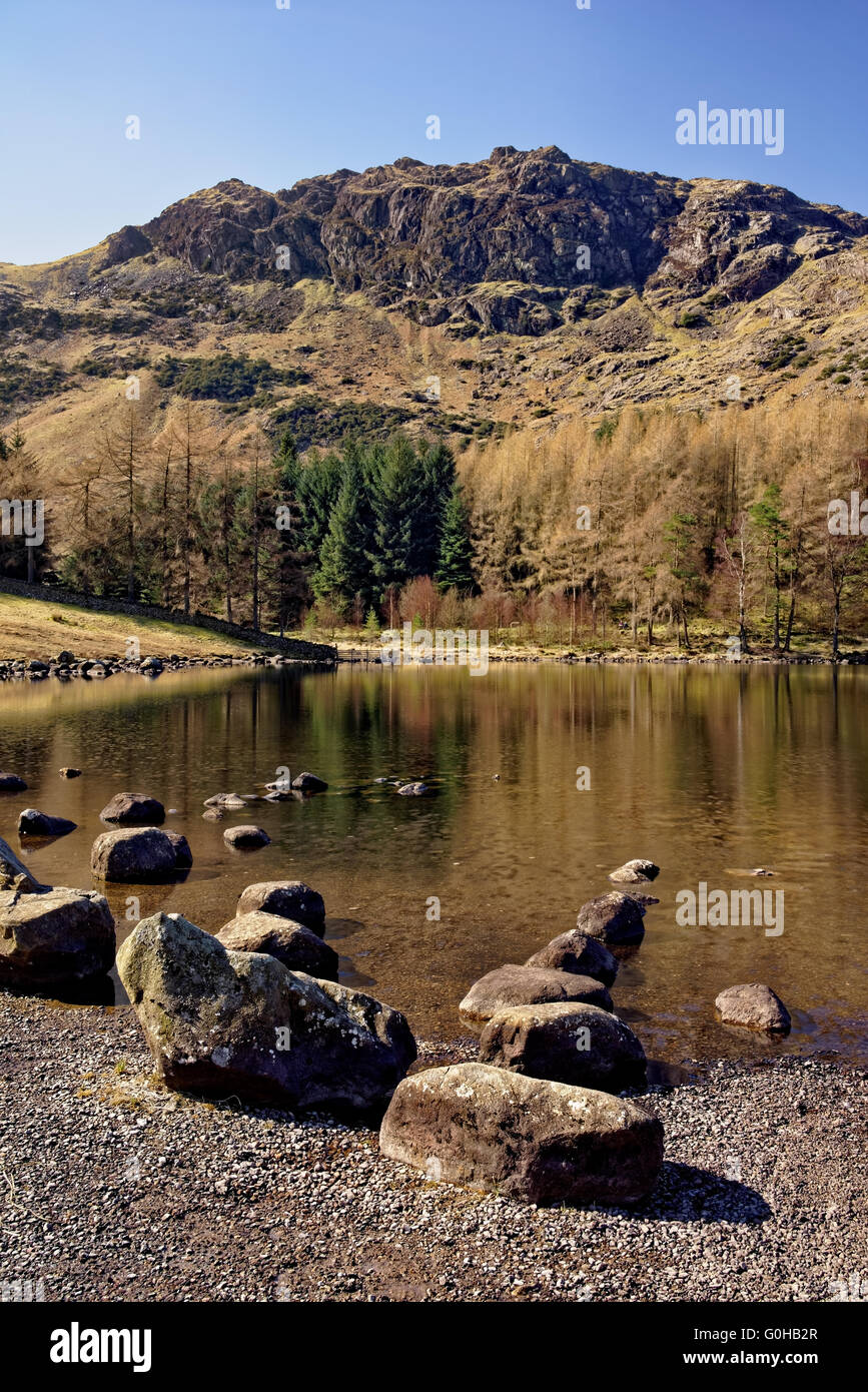 UK,Cumbria,Lake District,Blea Tarn Stock Photo
