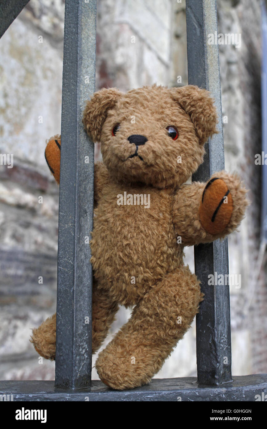 teddy bear Stock Photo