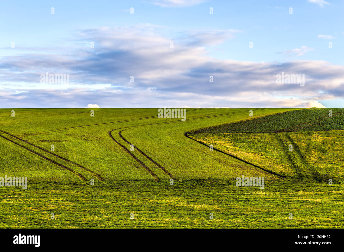 lines in field Stock Photo