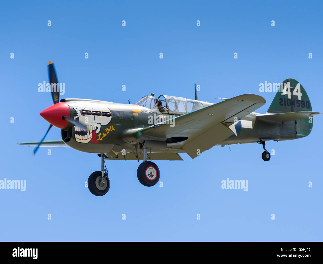 Curtiss P-40 Warhawk in flight with undercarriage down (dirty pass). Stock Photo