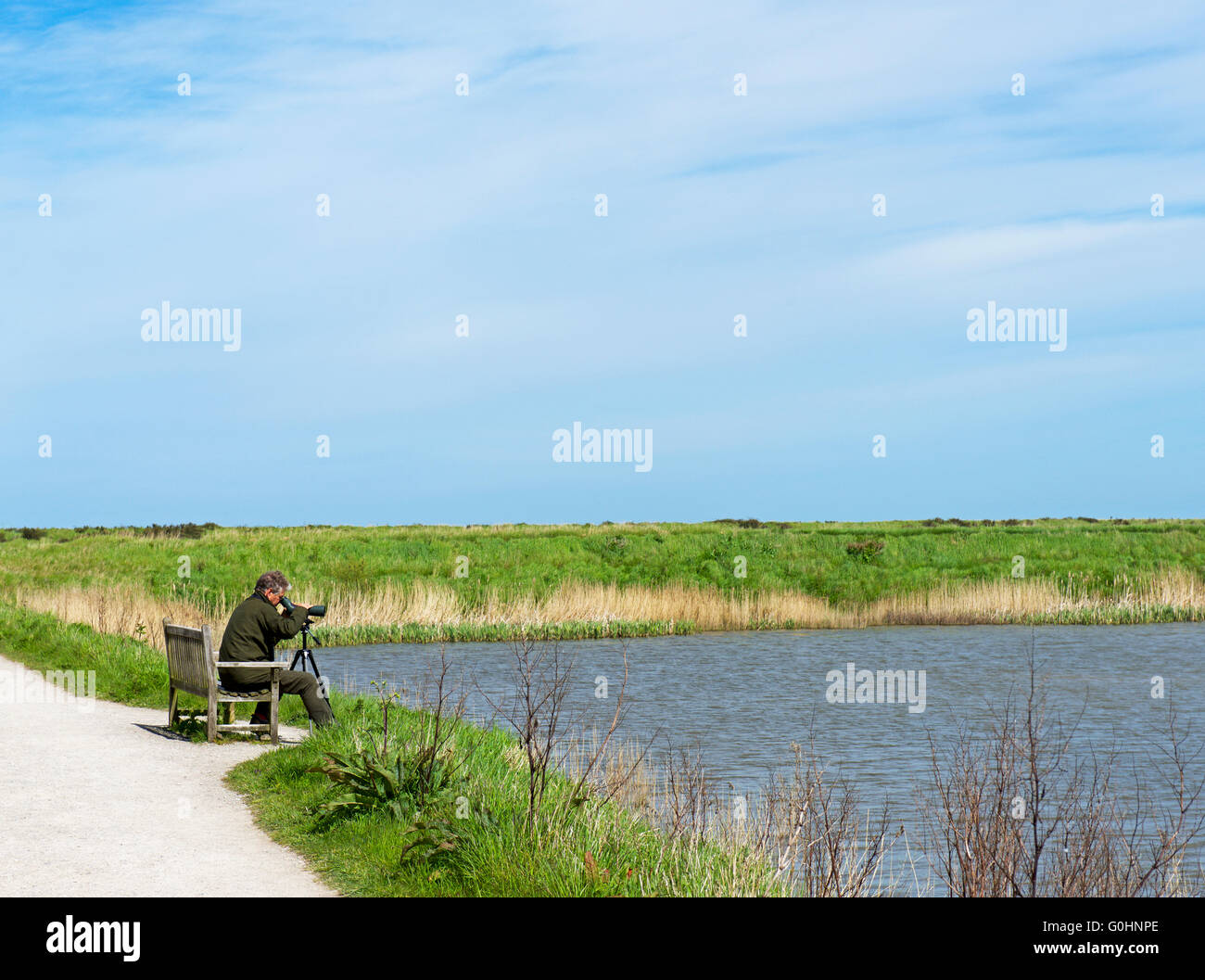 Birder at Titchwell Marsh, an RSPG nature reserve on the North Norfolk coast, England UK Stock Photo
