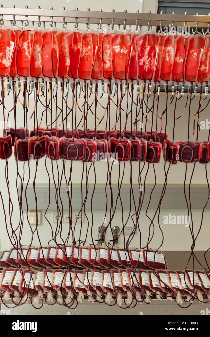 Blood of donor blood in the blood laboratory Stock Photo