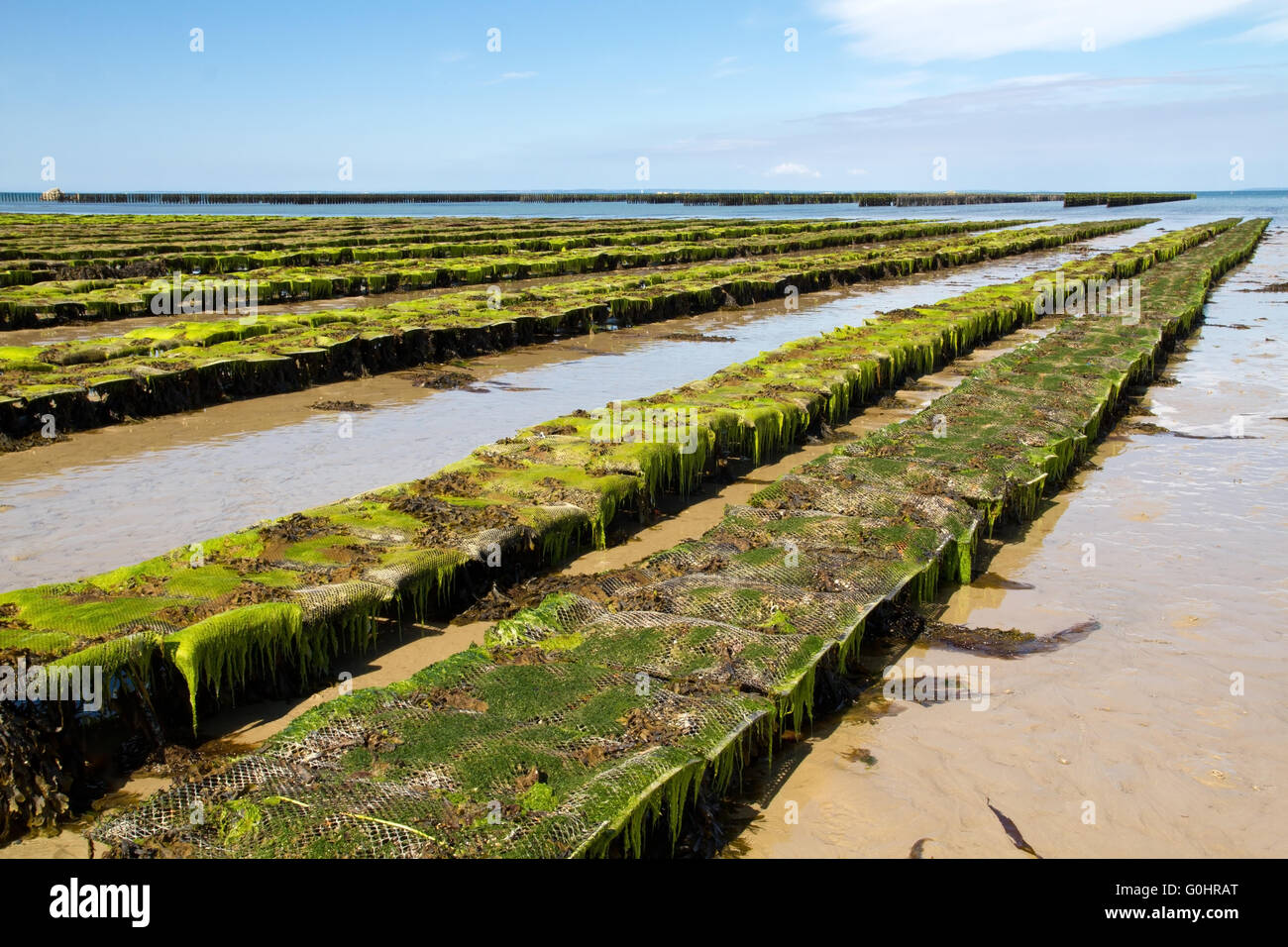 Jersey channel island banks hi-res stock photography and images - Alamy