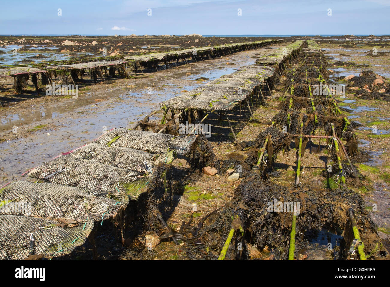 Jersey channel island banks hires stock photography and images Alamy