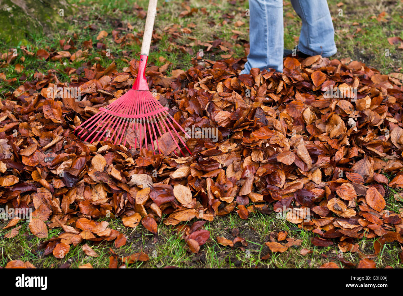 Zusammen rechen hi-res stock photography and images - Alamy