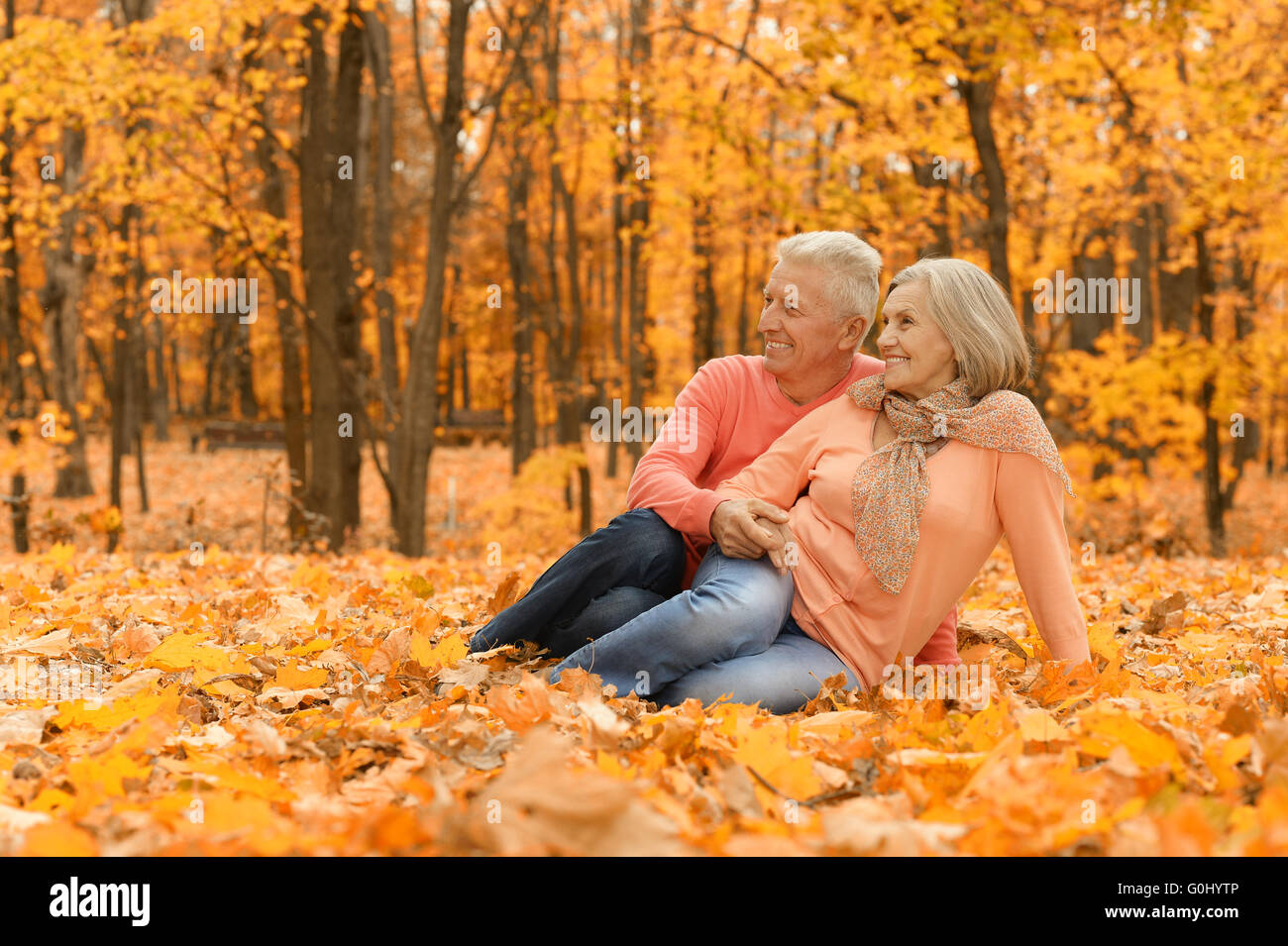 Elderly couple in the park Stock Photo - Alamy