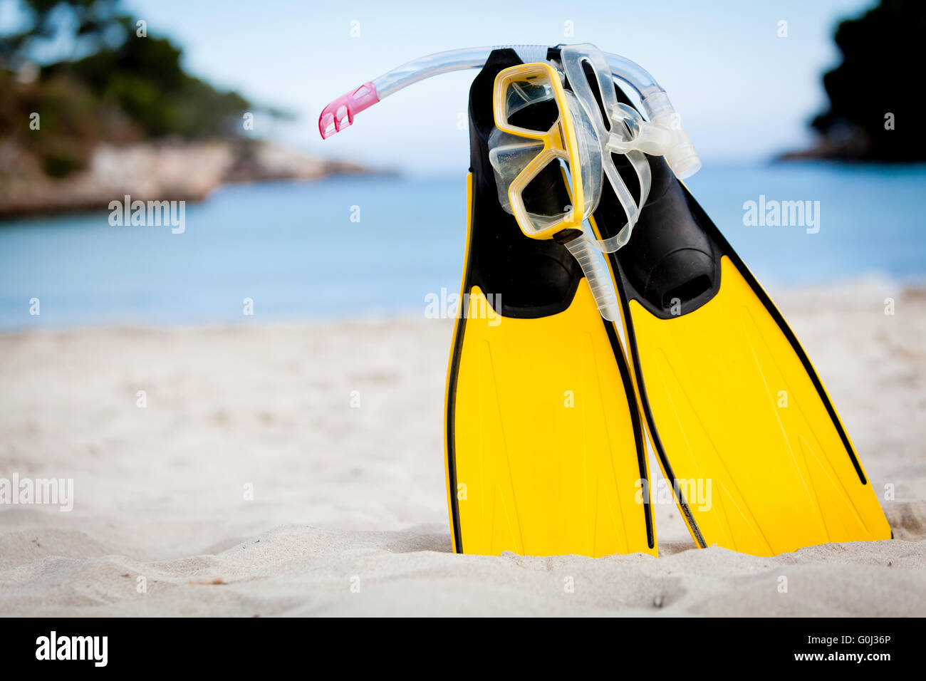 goggles and fins