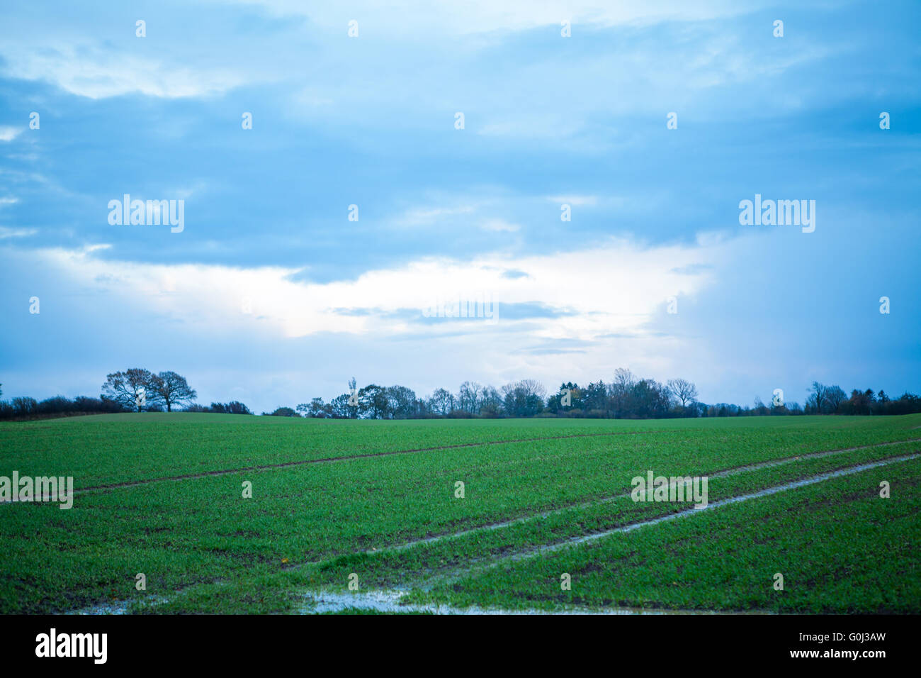beautiful landscape of green farmland and blue sky Stock Photo - Alamy