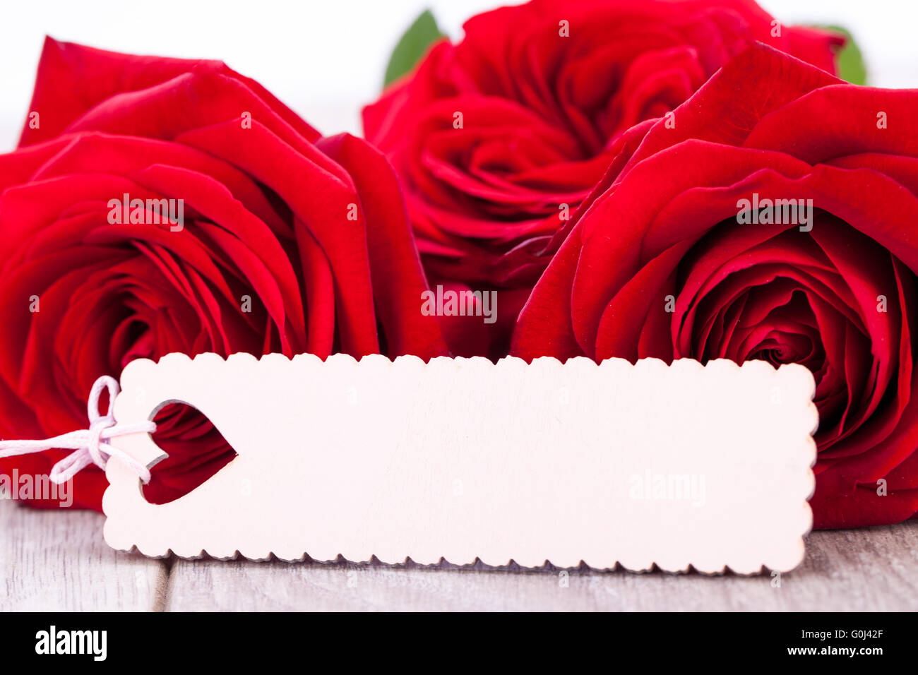 Valentines gift of beautiful red roses Stock Photo