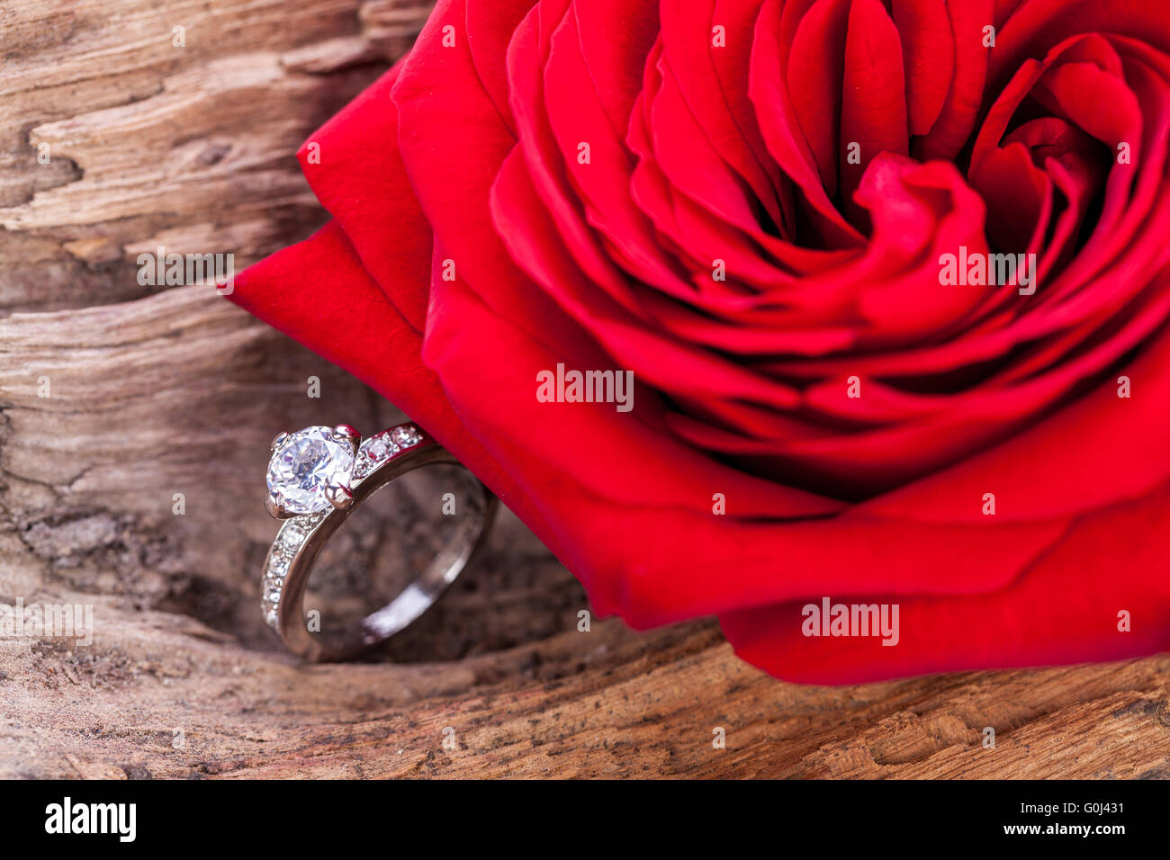 beautiful ring on wooden background and red rose Stock Photo