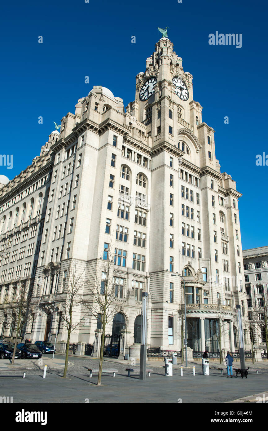 The Royal Liver Building overlooking the River Mersey at Pier Head in the city of Liverpool on Merseyside Stock Photo