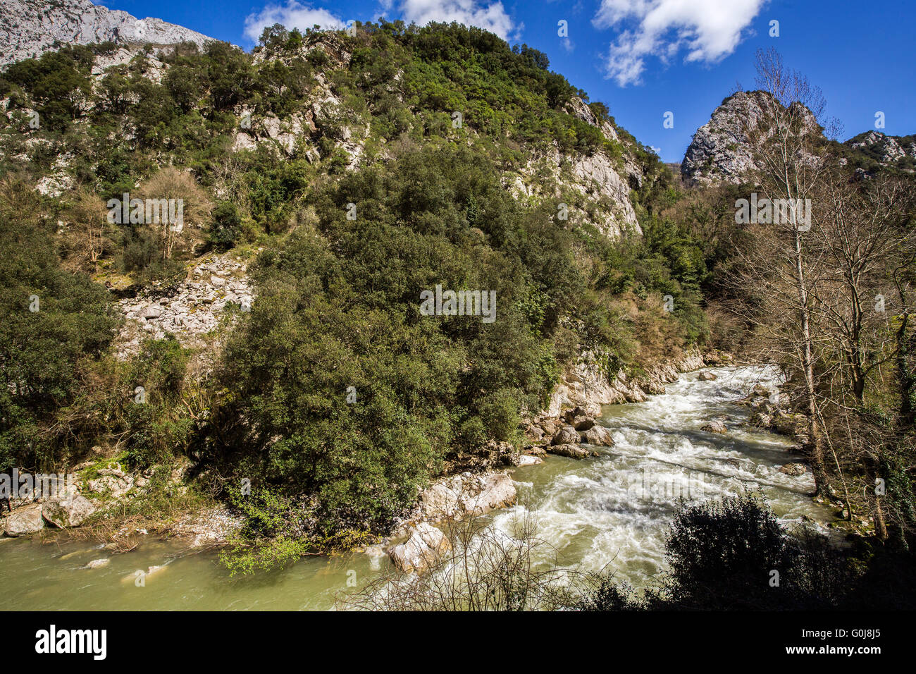 Deva nature hi-res stock photography and images - Alamy