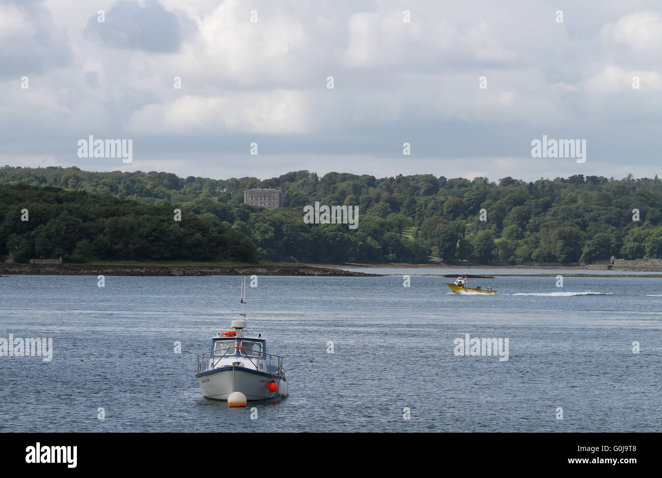 View across Strangford Lough, County Down, Northern Ireland, with