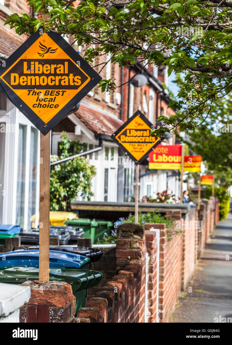 Row of terraced houses displaying political parties pole signs in election period, Watford, Hertfordshire, England, UK Stock Photo
