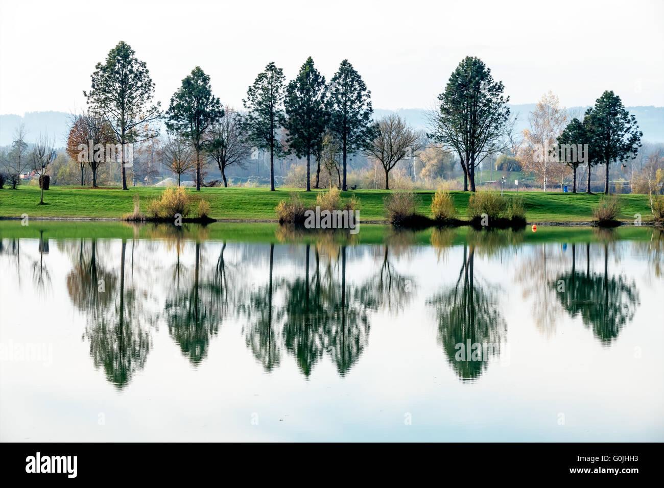 trees reflecting in the lake Stock Photo - Alamy