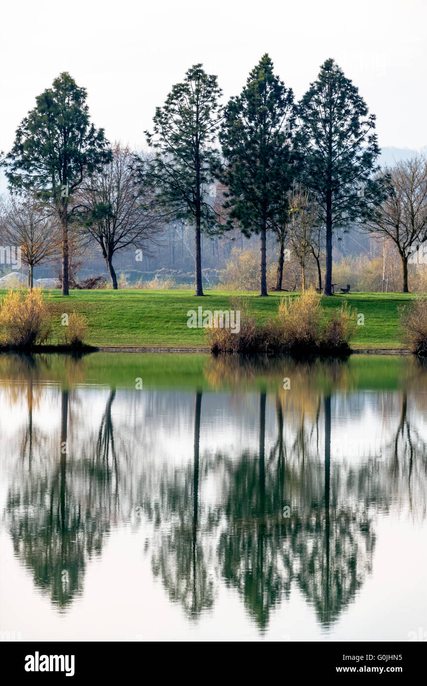 trees reflecting in the lake Stock Photo - Alamy