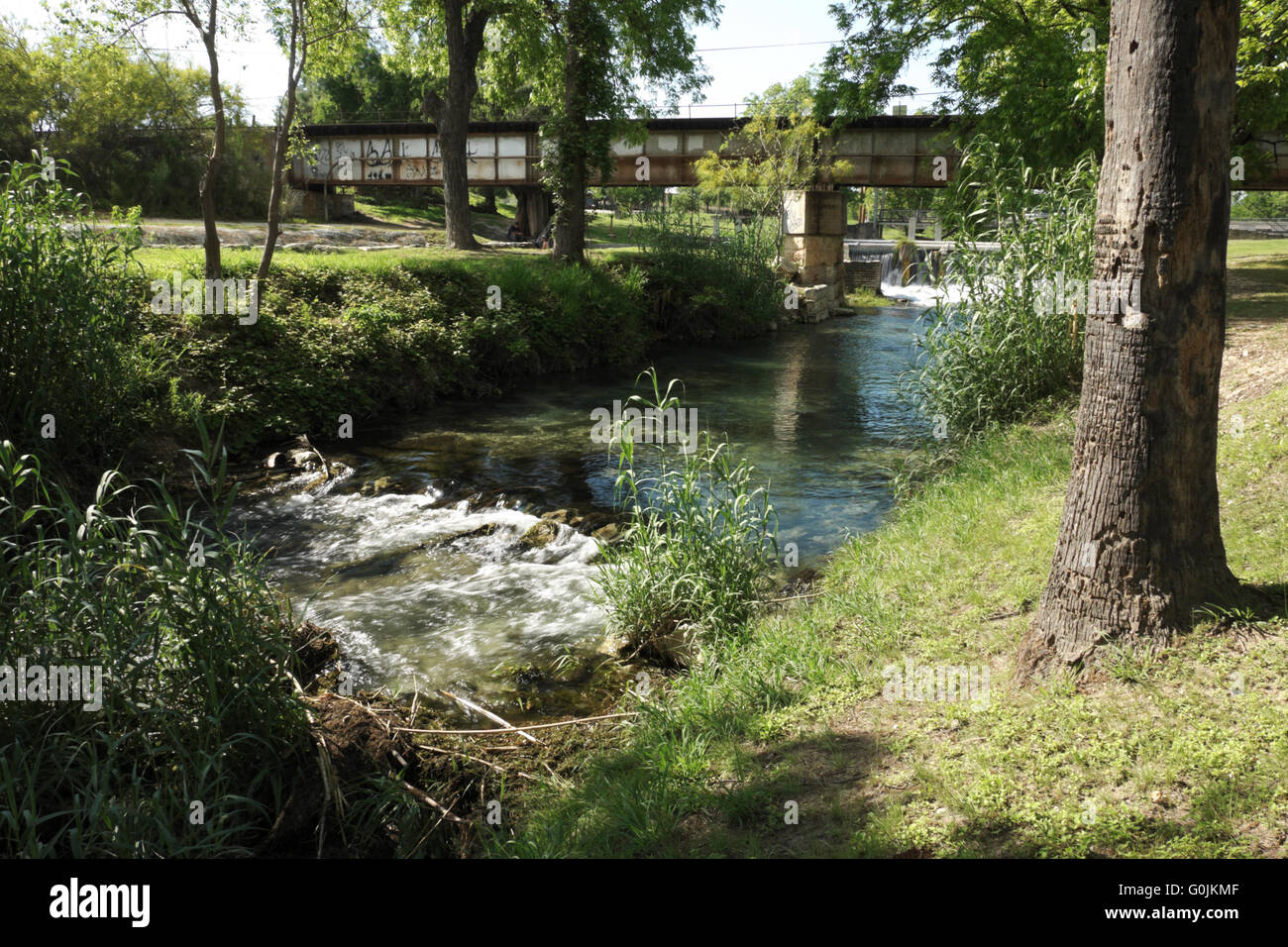 San Felipe Creek as it runs through Horse Shoe Park in Del Rio, Texas, USA Stock Photo