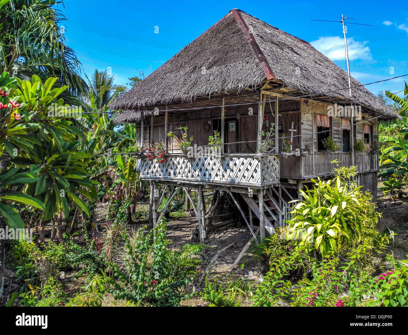 Philippines Bohol General Typical Nipa House Nipa Is The Material Used For Thatching G0JP90 