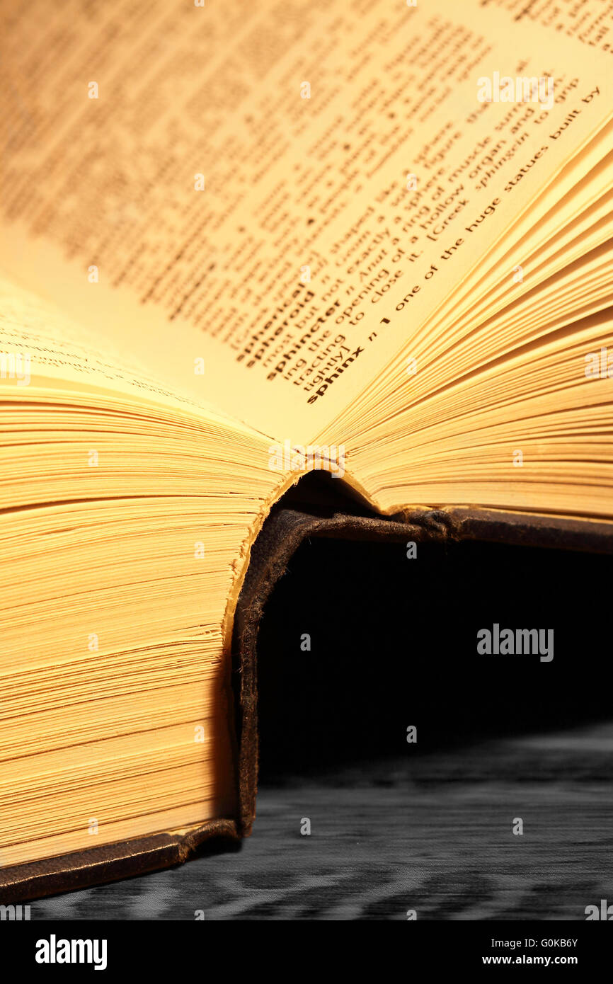 English dictionary with open pages Stock Photo Alamy