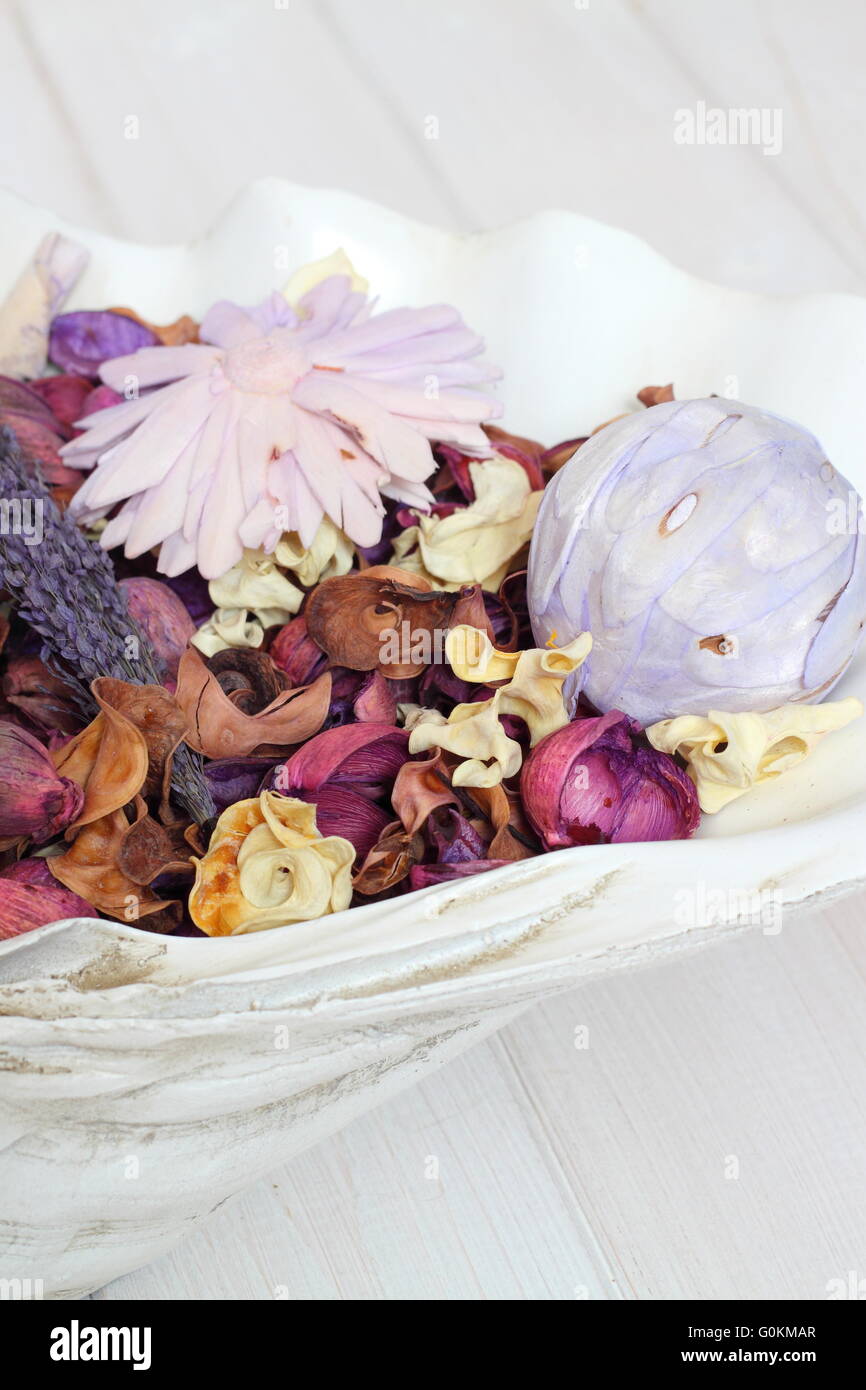 Potpourri in a shell bowl Stock Photo Alamy