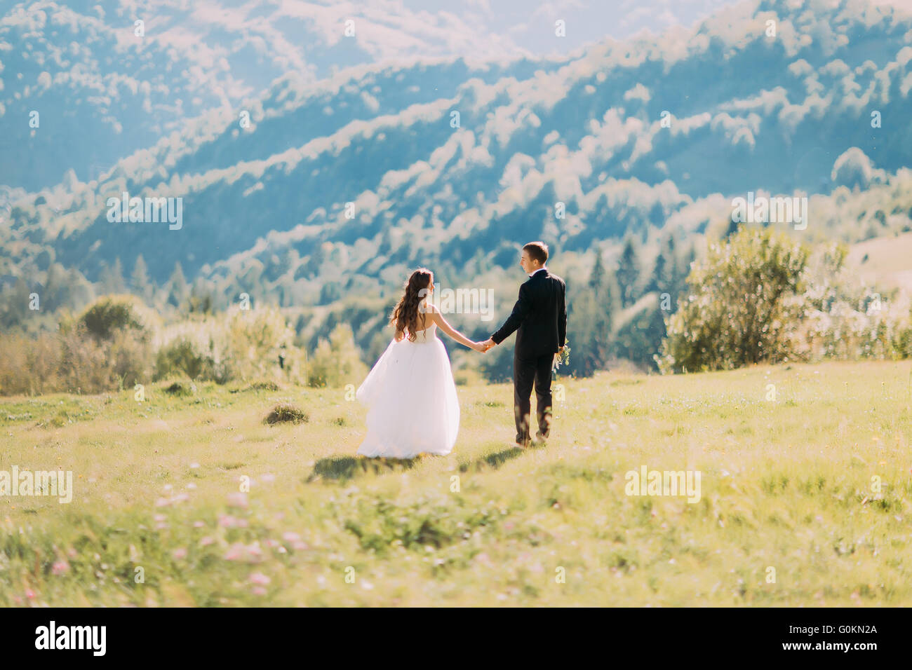 Beautiful bride and groom walking back holding hands on meadow Stock ...
