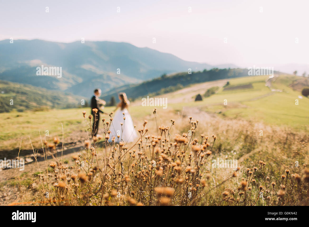 Back view going couple walking hi-res stock photography and images - Alamy