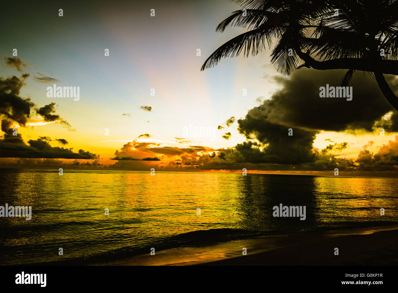 sunset silhouette of palm trees Stock Photo - Alamy