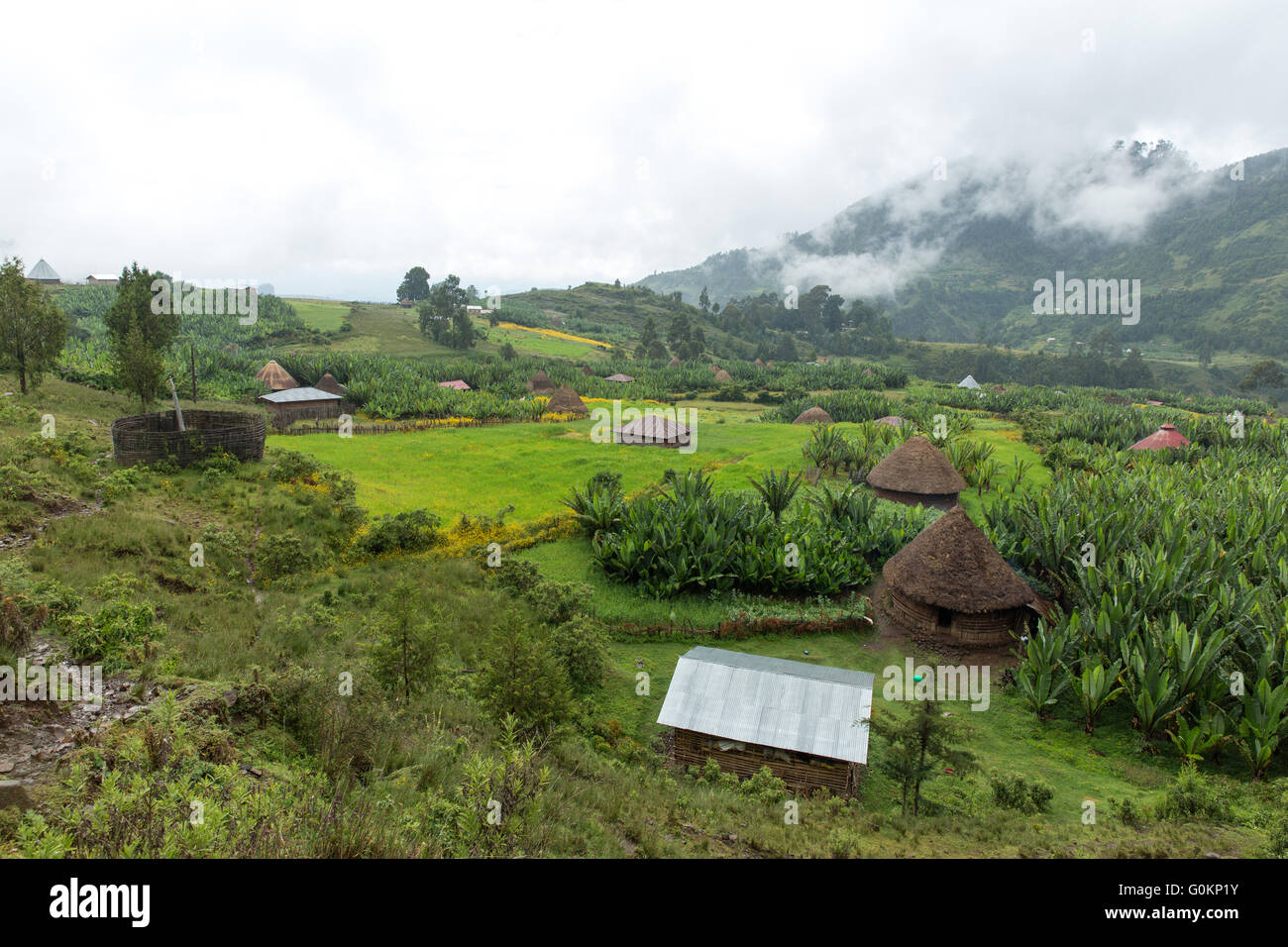 Gibi village Gurage, Ethiopia, October 2013 Village landscape with Biteyu natural forest in the background. Stock Photo