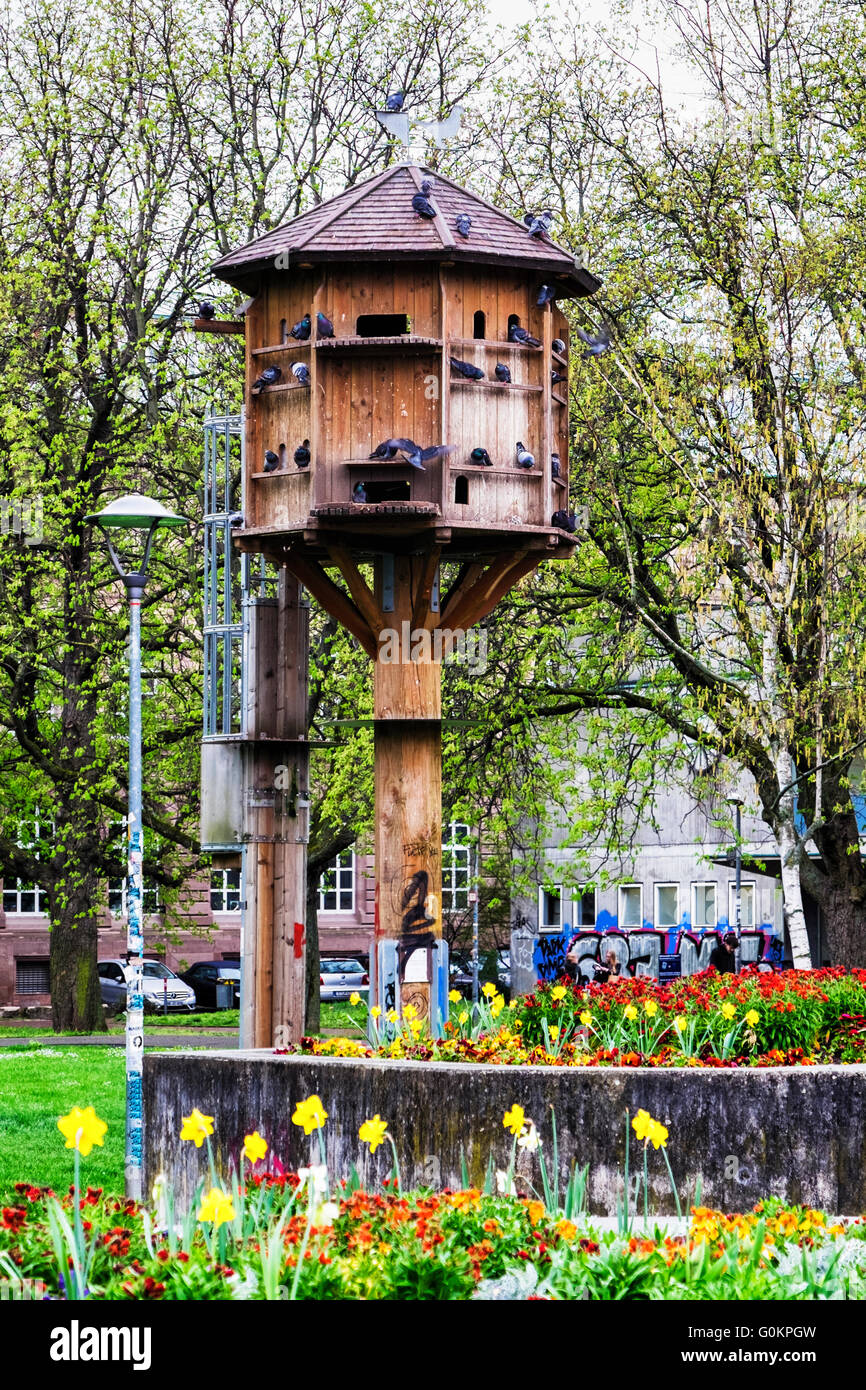 Stuttgart Stadtgarten, City garden, Wooden Bird Nesting box and dove-cote home for pigeons in a public park Stock Photo