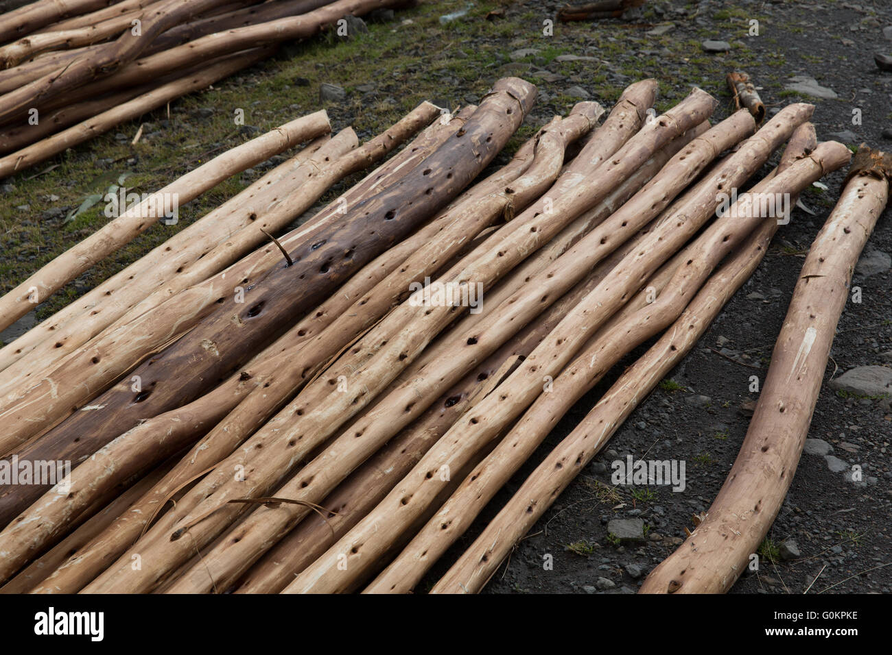 Eucalyptus Firewood Stack High Resolution Stock Photography and Images