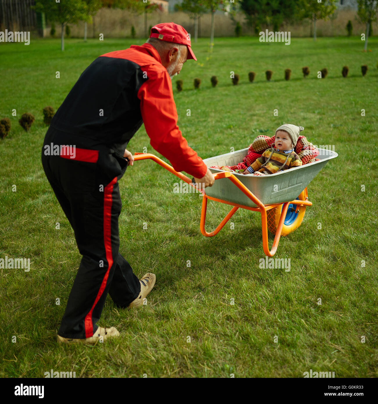 cute little boy sitting in wheelbarrow Stock Photo - Alamy