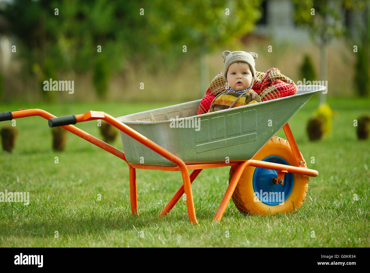 cute little boy sitting in wheelbarrow Stock Photo - Alamy