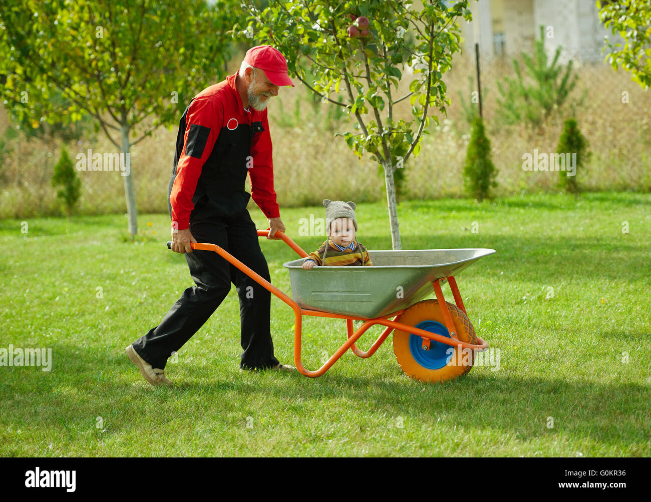 cute little boy sitting in wheelbarrow Stock Photo - Alamy