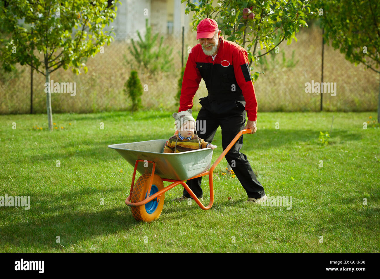 cute little boy sitting in wheelbarrow Stock Photo - Alamy