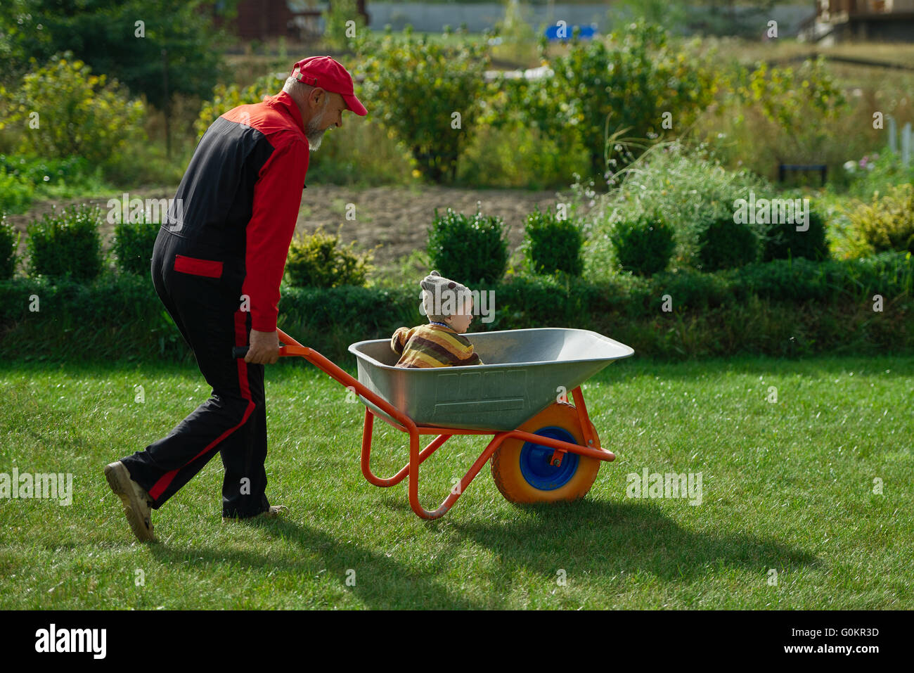 cute little boy sitting in wheelbarrow Stock Photo - Alamy