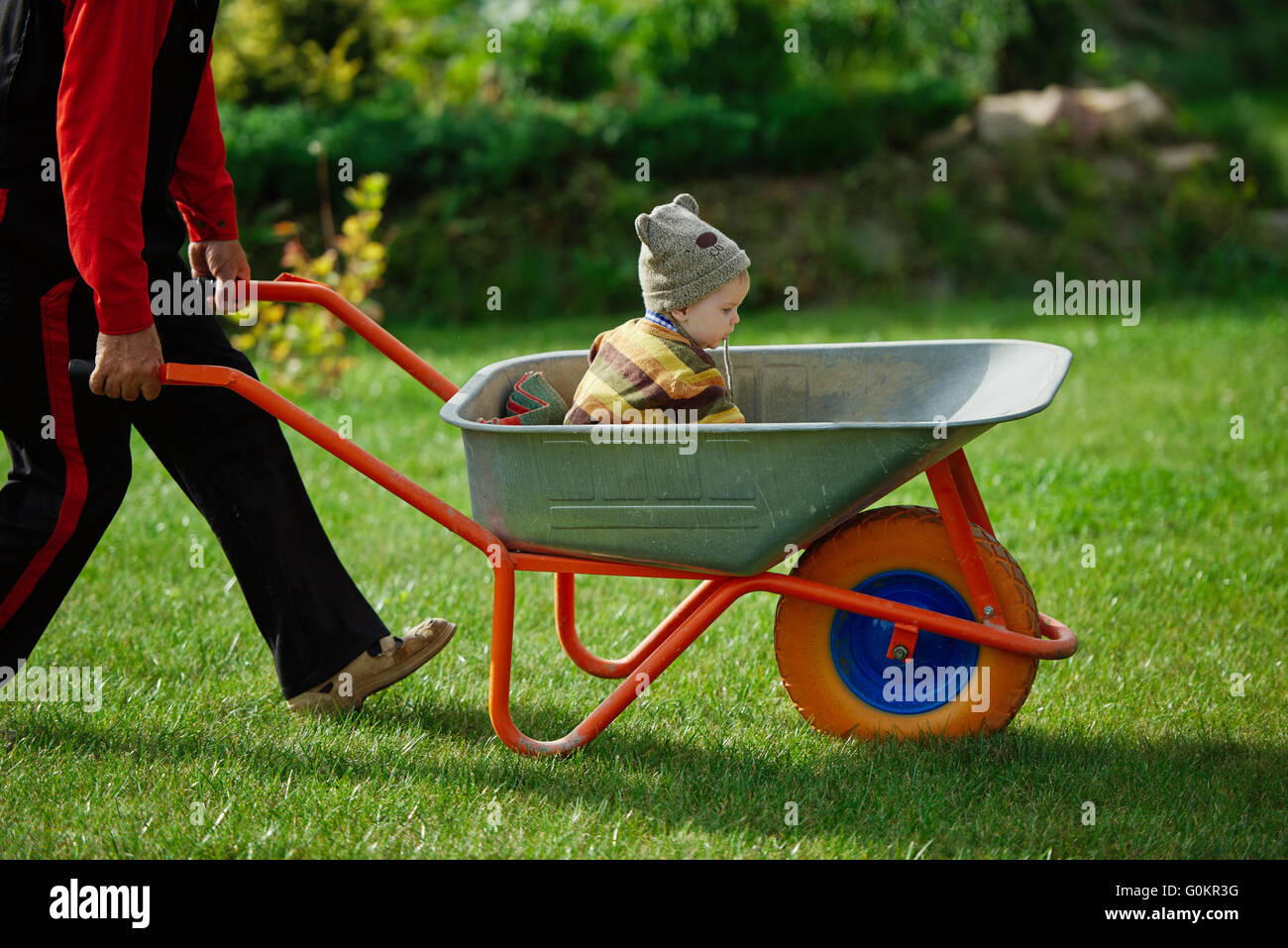 cute little boy sitting in wheelbarrow Stock Photo - Alamy