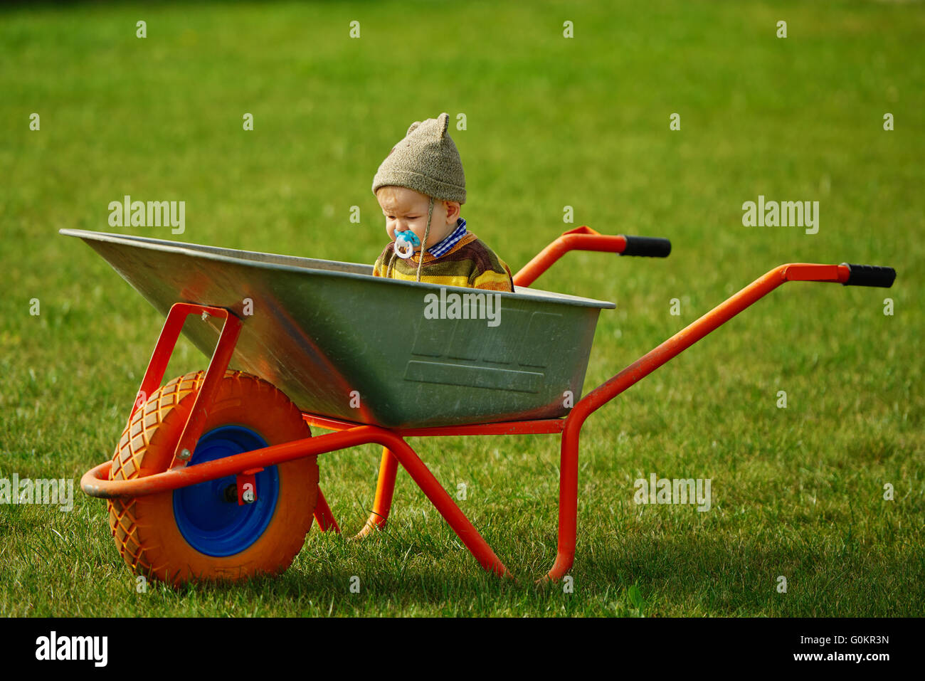 cute little boy sitting in wheelbarrow Stock Photo - Alamy