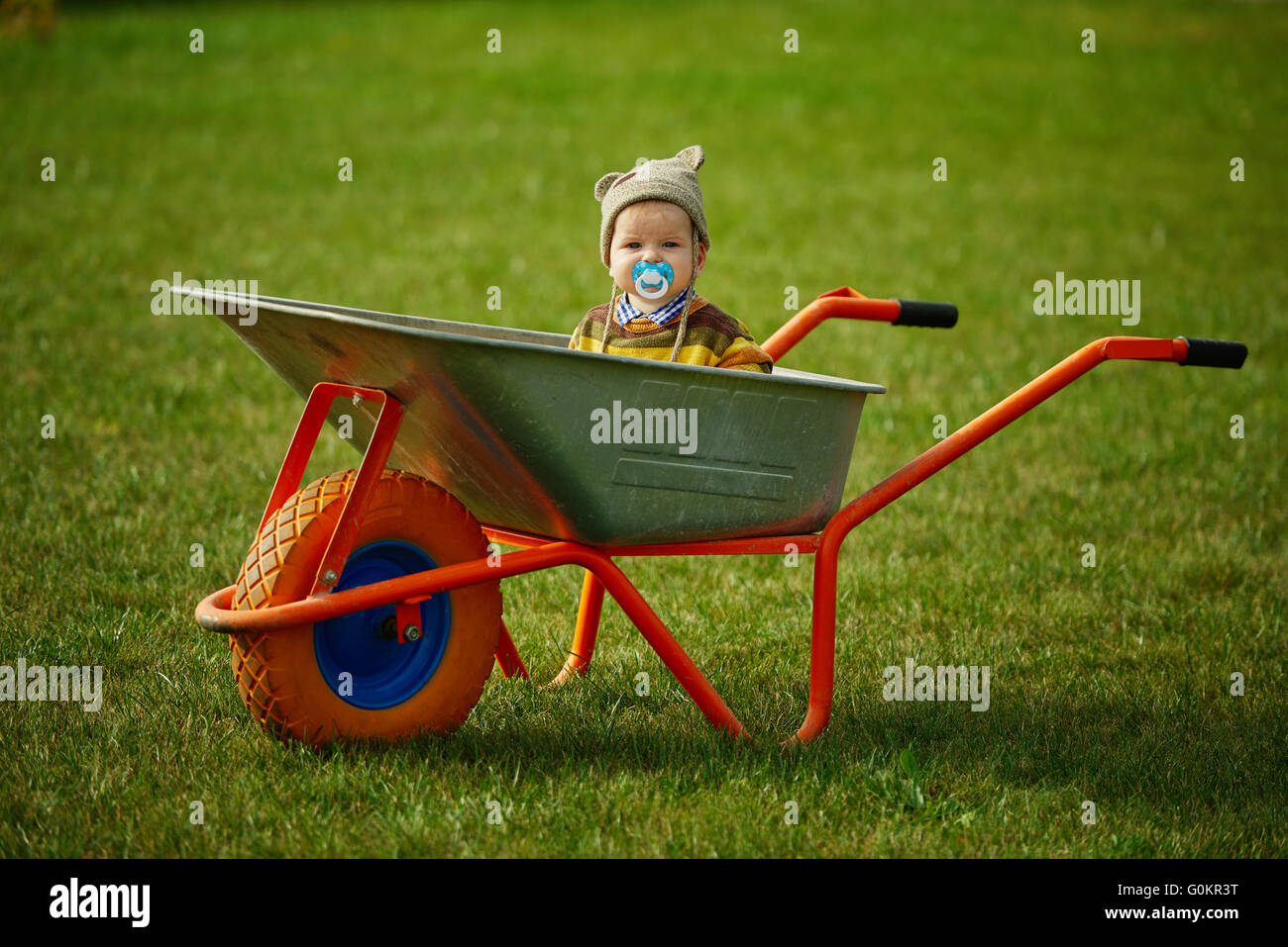 cute little boy sitting in wheelbarrow Stock Photo - Alamy
